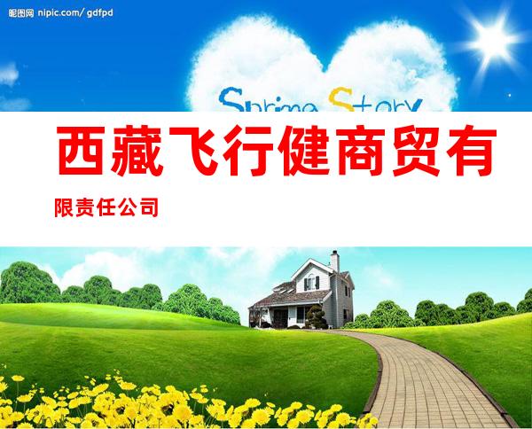 西藏飞行健商贸有限责任公司